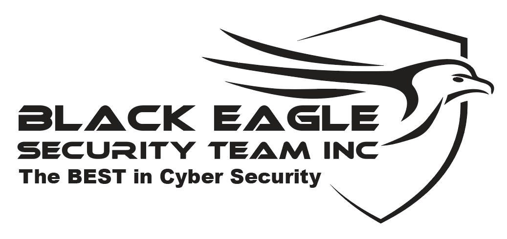 Black Eagle Cyber Training